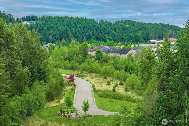 13412 Edmunds Pkwy E, Bonney Lake, WA 98391 - photo 4
