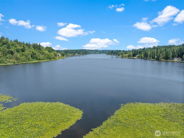 8423 Dormar Dr SE, Port Orchard, WA 98367 - photo 32