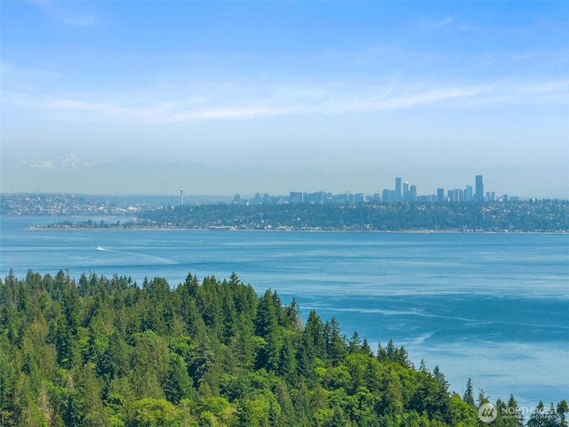 6928 View Park Rd SE, Port Orchard, WA 98367 - water view
