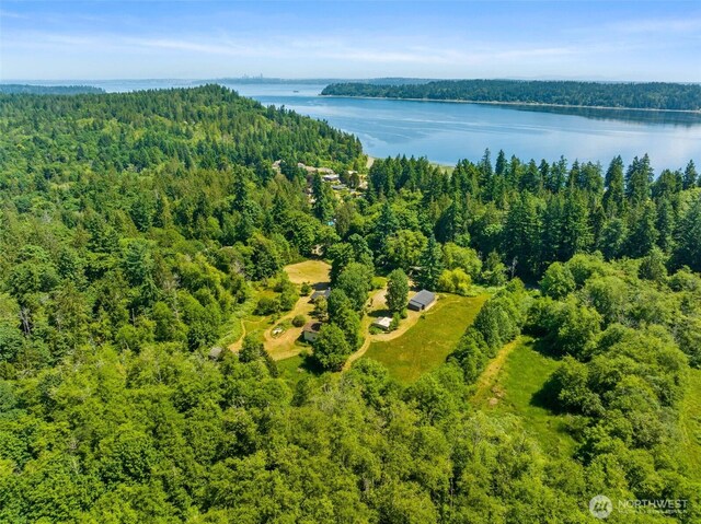 6928 View Park Rd SE, Port Orchard, WA 98367 - bird's eye view of a large body of water