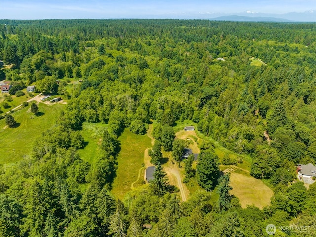 6928 View Park Rd SE, Port Orchard, WA 98367 - drone / aerial view of a heavily wooded area