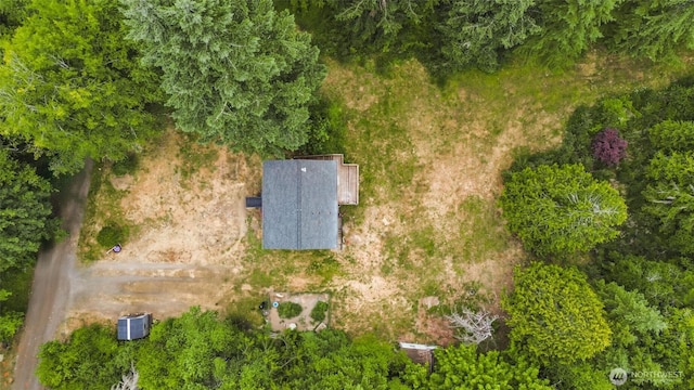 60 E Olyview Pl, Grapeview, WA 98546 - aerial overview of property's location