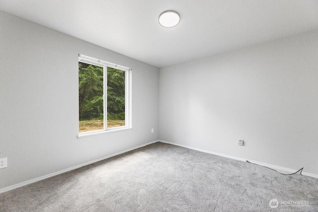 60 E Olyview Pl, Grapeview, WA 98546 - photo 16