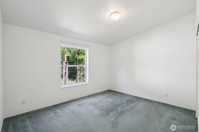 801 Hemlock Rd, Carson, WA 98610 - empty room with carpet