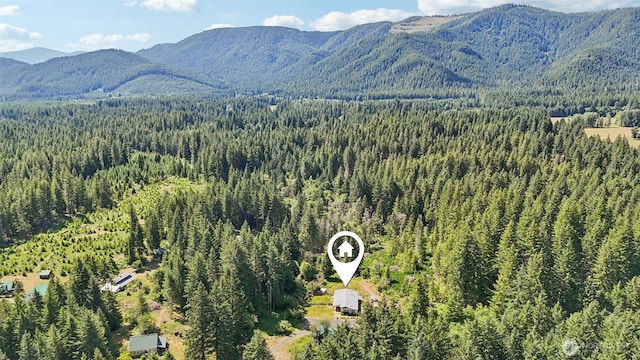 801 Hemlock Rd, Carson, WA 98610 - view of mountain background with a forest