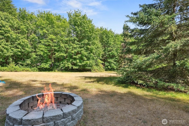 6321 41st Ave NW, Olympia, WA 98502 - view of yard with a fire pit and a wooded view