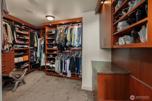 10650 NE 9th Pl Unit 2524, Bellevue, WA 98004 - spacious closet featuring carpet floors