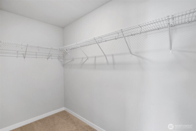 298 Hovey St, Buckley, WA 98321 - spacious closet with carpet flooring