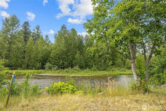 1151 Kiias Elk Trl, Cle Elum, WA 98922 - photo 3