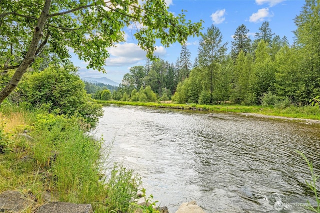 1151 Kiias Elk Trl, Cle Elum, WA 98922 - photo 4