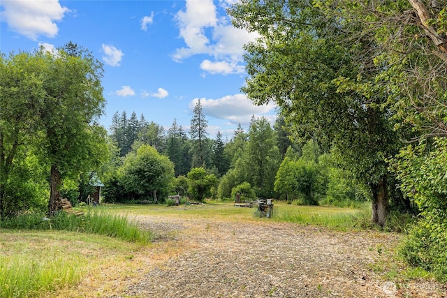 1151 Kiias Elk Trl, Cle Elum, WA 98922 - photo 6