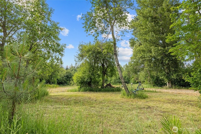 1151 Kiias Elk Trl, Cle Elum, WA 98922 - photo 5