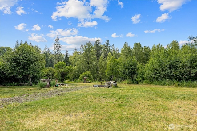 1151 Kiias Elk Trl, Cle Elum, WA 98922 - photo 10