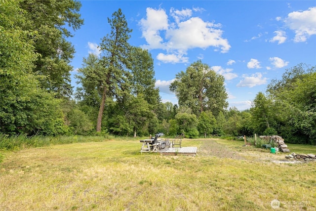 1151 Kiias Elk Trl, Cle Elum, WA 98922 - photo 13