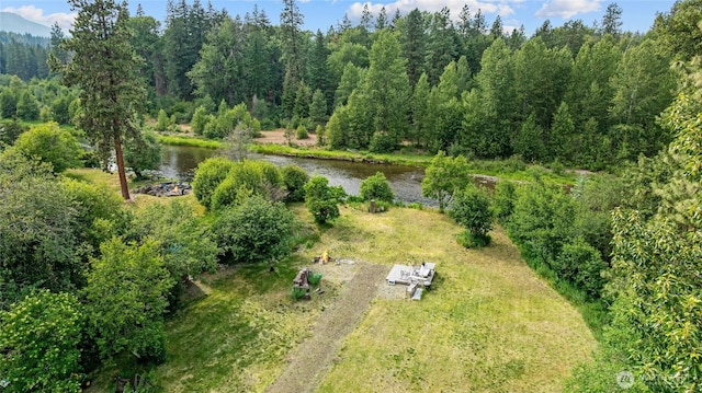 1151 Kiias Elk Trl, Cle Elum, WA 98922 - photo 16