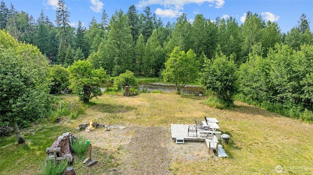 1151 Kiias Elk Trl, Cle Elum, WA 98922 - photo 17