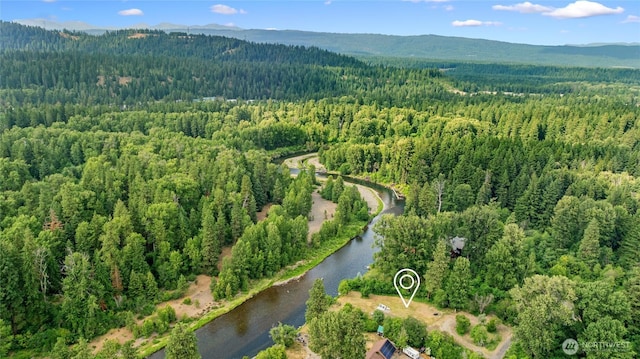 1151 Kiias Elk Trl, Cle Elum, WA 98922 - photo 23