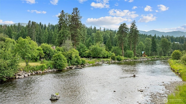 1151 Kiias Elk Trl, Cle Elum, WA 98922 - photo 25