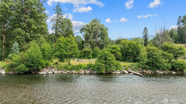 1151 Kiias Elk Trl, Cle Elum, WA 98922 - photo 26
