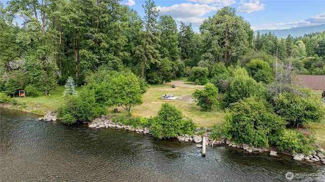 1151 Kiias Elk Trl, Cle Elum, WA 98922 - photo 27