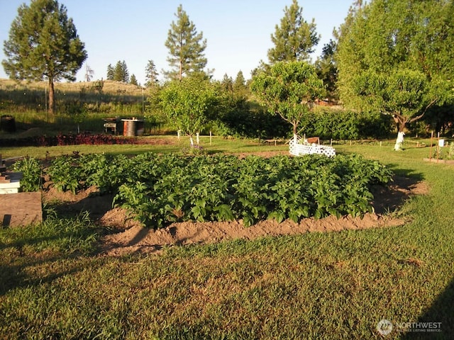 361 Rehmke Rd, Tonasket, WA 98855 - view of green lawn