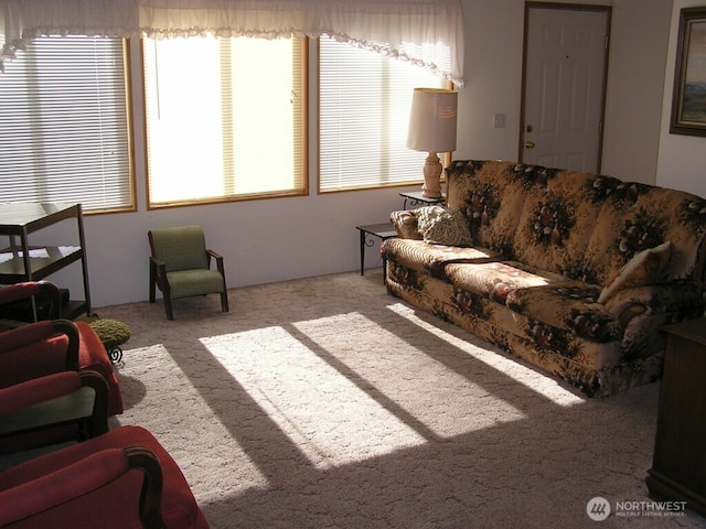 361 Rehmke Rd, Tonasket, WA 98855 - living area featuring carpet floors