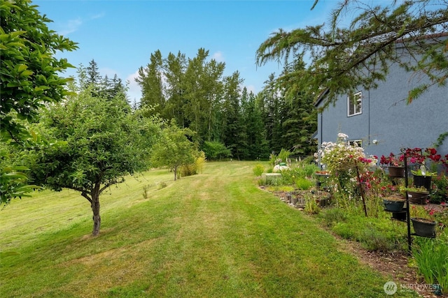 2584 E Smith Rd, Bellingham, WA 98226 - photo 38