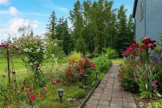 2584 E Smith Rd, Bellingham, WA 98226 - photo 39
