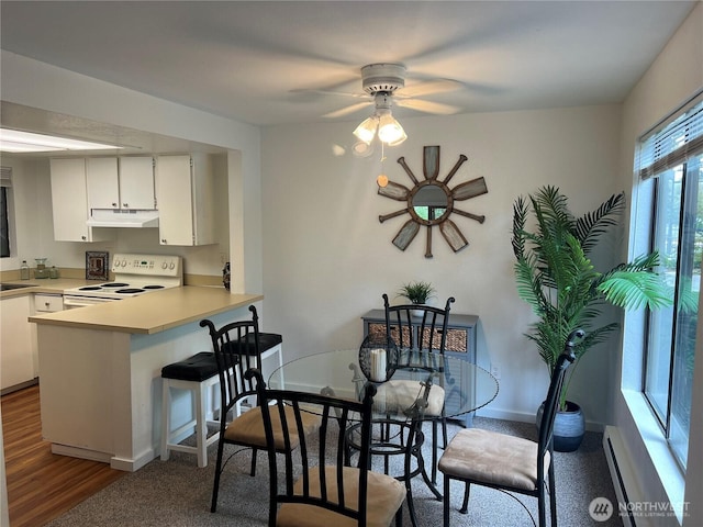 4800 200th St SW Unit E205, Lynnwood, WA 98036 - kitchen with white electric stove, a peninsula, light countertops, white cabinetry, and ceiling fan