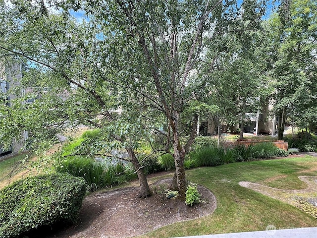4800 200th St SW Unit E205, Lynnwood, WA 98036 - view of green lawn