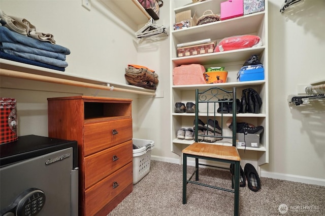 16 NW 23rd St, Battle Ground, WA 98604 - walk in closet featuring carpet
