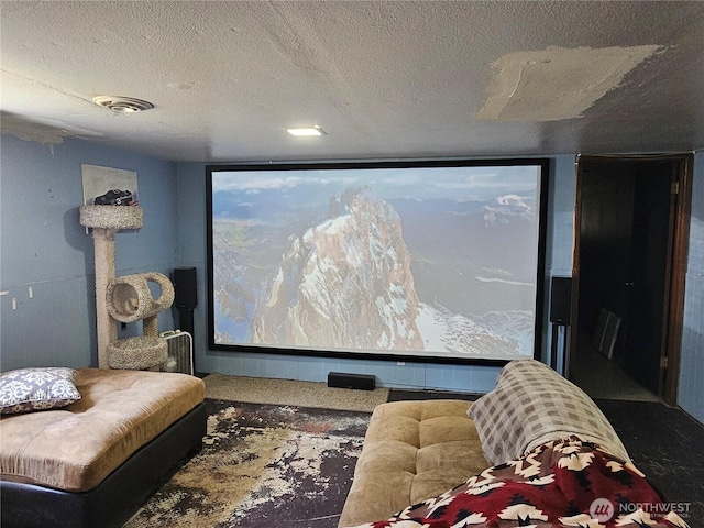 591 Division Ave, Morton, WA 98356 - home theater featuring a textured ceiling