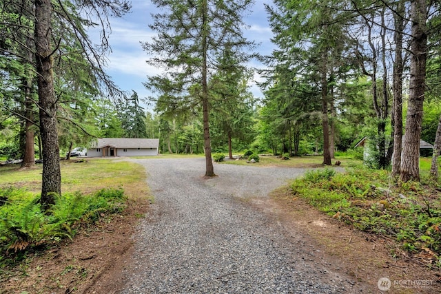 37412 34th Ave S, Roy, WA 98580 - photo 29