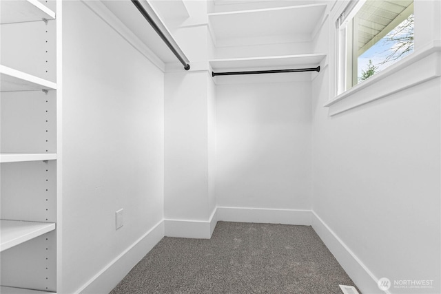 1584 Main St, Lynden, WA 98264 - spacious closet featuring carpet flooring
