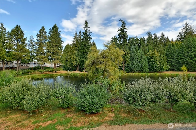 23825 15th Ave SE Unit 62, Bothell, WA 98021 - photo 27
