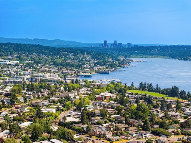527 16th Ave W, Kirkland, WA 98033 - bird's eye view of a water and mountain view