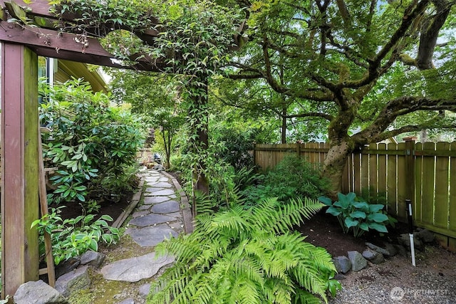 3647 Renton Ave S, Seattle, WA 98144 - view of yard