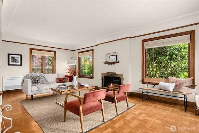 1157 N 78th St, Seattle, WA 98103 - living room featuring a textured ceiling, ornamental molding, a lit fireplace, and radiator heating unit
