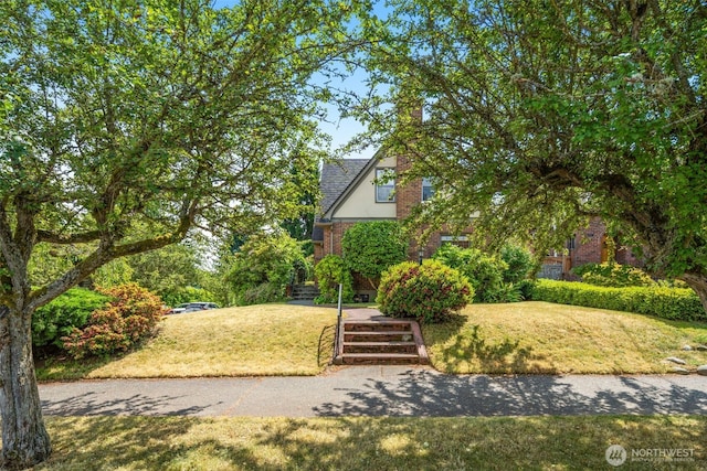 1157 N 78th St, Seattle, WA 98103 - view of green lawn