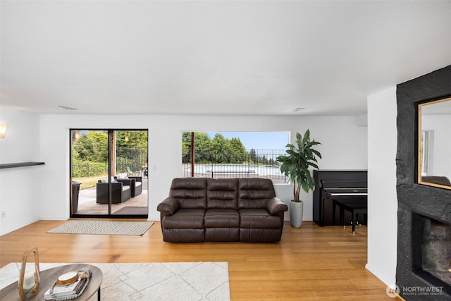 8717 182nd Pl SW, Edmonds, WA 98026 - living area featuring light wood-style flooring and a warm lit fireplace