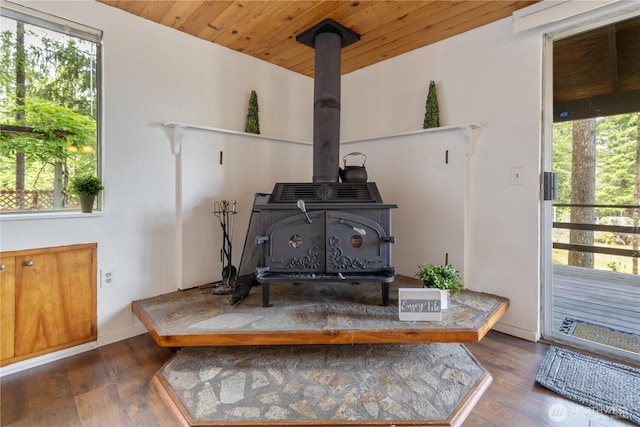 1681 E Saint Andrews Dr N, Shelton, WA 98584 - detailed view of a wood stove and wood finished floors