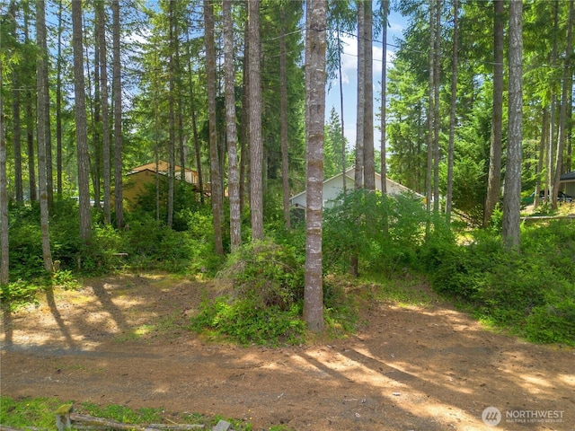 1681 E Saint Andrews Dr N, Shelton, WA 98584 - view of nature