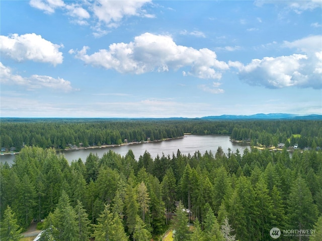 1681 E Saint Andrews Dr N, Shelton, WA 98584 - water view with a forest and a mountainous background