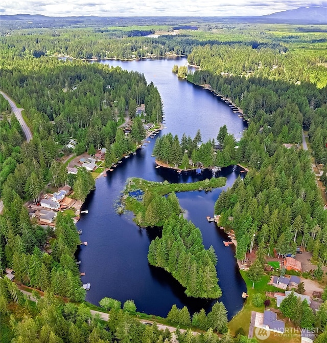 1681 E Saint Andrews Dr N, Shelton, WA 98584 - aerial view of a forest and a large body of water