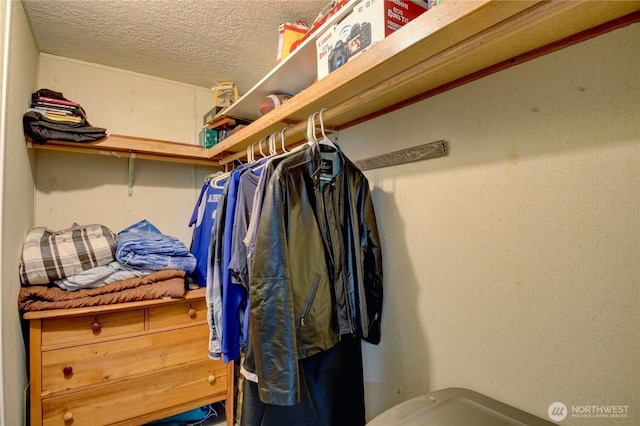 7493 State Route 9, Sedro Woolley, WA 98284 - view of walk in closet