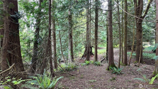 7493 State Route 9, Sedro Woolley, WA 98284 - view of tree filled area