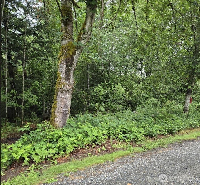 15600 SE 234th St, Kent, WA 98042