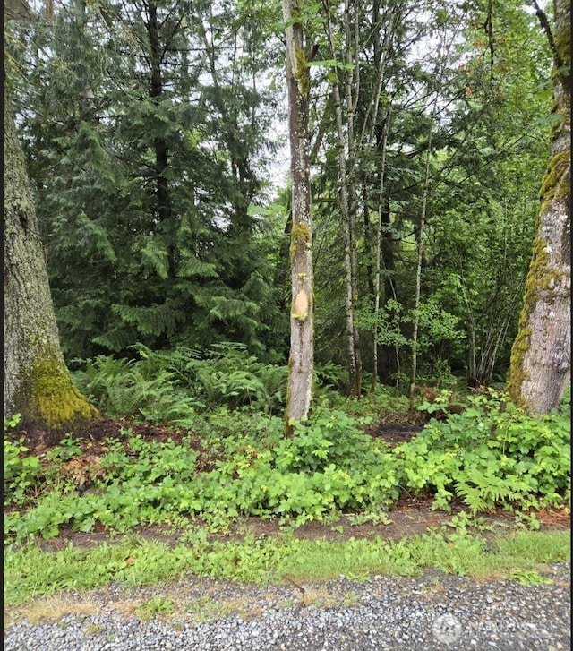 15600 SE 234th St, Kent, WA 98042