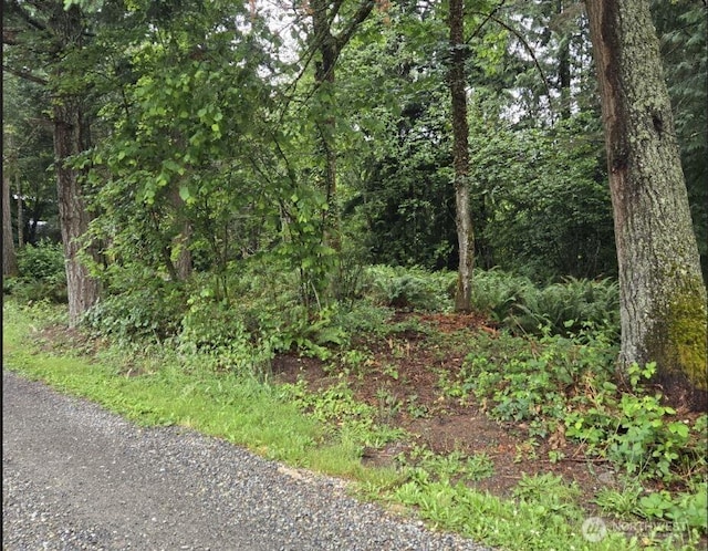 15600 SE 234th St, Kent, WA 98042