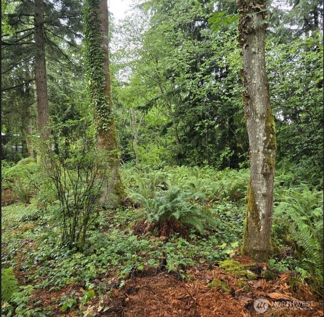 15600 SE 234th St, Kent, WA 98042